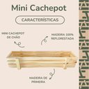 Ver imagem 4 de Jardim Decoração Suculentas Mini Cachepot Vaso Madeira Ripado 13x60x9,5cm