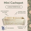 Ver imagem 2 de Floreira com Rodízio