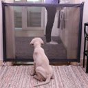 Ver imagem 3 de Tela Grade de Porta Pet Caes Gatos Crianças Parede