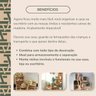Caixote de Madeira Pinus para Decorar ou Armazenar Pequeno - 3
