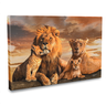 Quadro a Majestosa Família de Leões 2 Filhotes - 1