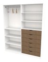 Ver imagem 4 de Armário Arara Gaveta Verônica M2 Esquerdo 100% Mdf Closet Vetorial Móveis Veronica M2 Esquerdo Branc