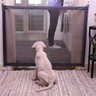 Tela Grade Parede Proteçao Gato Cachorro Pet Pequeno Porte Bebe Criança Segurança Leva Pra Pet BSL-P - 6
