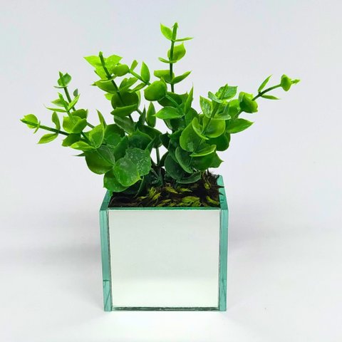 Folhas de Eucalipto com Vaso Espelhado - Verde