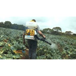 Atomizador Buffalo Bfg 600 2t - 2