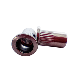 Rebite Rosca Recartilhado Cab Plana M8 Aço Inox C/10 Unid - 3