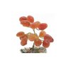Árvore de Pedra Ágata Cornalina Base Mix de Cristais 9cm - 5