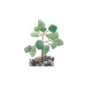 Árvore de Pedra Quartzo Verde Base Mix de Cristais 9cm - 5