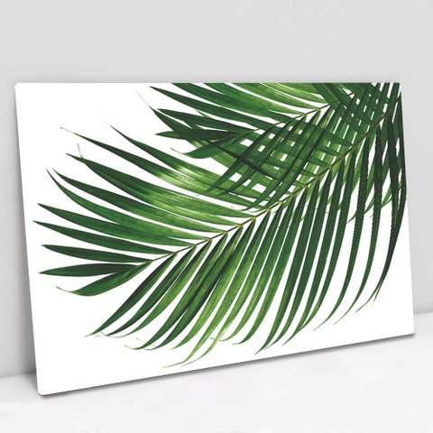 Quadro Decorativo Folha Palmada Verde em Tela Canvas com Borda Infinita 60x90cm Tacolado.
