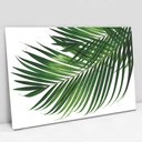 Ver imagem 1 de Quadro Decorativo Folha Palmada Verde em Tela Canvas com Borda Infinita 60x90cm Tacolado.