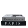 Conjunto de Caixas Livros Decorativos Paris e La amour - 4