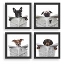 Ver imagem 1 de Kit 4 Quadros Decorativos Banheiro Toalete Lavabo Dog Jornal: Preto