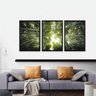 Quadro Paisagem para Sala Topo Floresta de Bambu Moldura Preta - 4