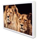 Ver imagem 2 de Quadro Decorativo Casal de Leões em Moldura Caixa Tacolado Moldura Trad 1cm Preta sem Vidro 40 X 60c