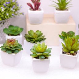 Planta Mini Suculenta Artificial sem Vaso Só a Planta - 7