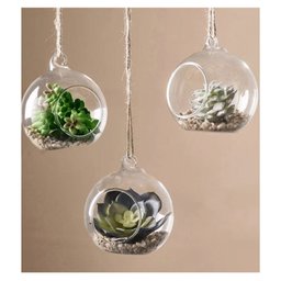 Planta Mini Suculenta Artificial sem Vaso Só a Planta - 9