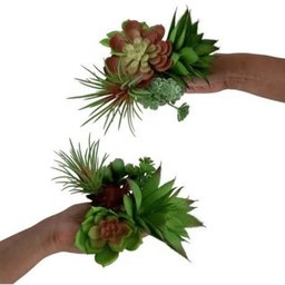 Planta Mini Suculenta Artificial sem Vaso Só a Planta - 6