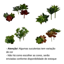 Planta Mini Suculenta Artificial sem Vaso Só a Planta - 4