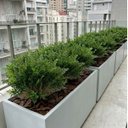 Ver imagem 7 de 20 Minis Buquês de Samambaia Artificial 35cm Kit Decorativo para Painel Verde, Vasos e Eventos