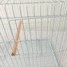 Gaiola Criadeira Pequena para Periquito Rubi Quatiguá - 7