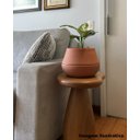 Ver imagem 7 de Vaso de Planta Inteligente Autoirrigável Cuia P Terracota