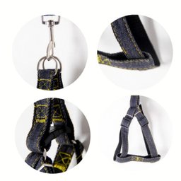 kit 12 coleira peitoral guia caes atacado pet shop 1,20mt - 3