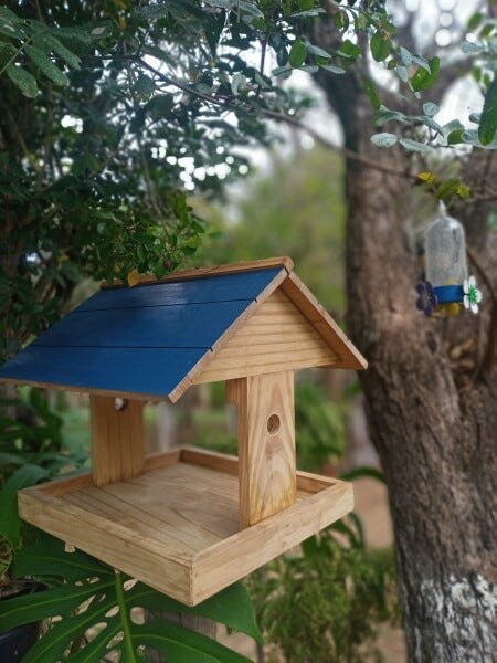 Casinha Comedouro Para Pássaros em Madeira Rústica telhado Azul - 2