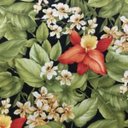 Ver imagem 2 de Conjunto de Sofá Fibra Sintética Melo - 1 Sofá 2 L + 2 Poltronas + 1 Mesa Centro - Tecido Saquarema