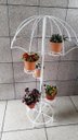 Ver imagem 1 de Suporte Para 5 Vasos em forma de Guarda chuva com Pedestal Branco