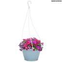 Ver imagem 4 de Kit Com 12 Vasos Para Pendurar Com Hastes Plantas E Flores
