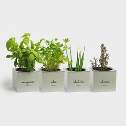 Kit Vasos Quadrados Autoirrigáveis Minha Horta - Cinza Claro - 1