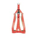 Ver imagem 2 de Peitoral e Guia Smooty Pet Melancia M Kit