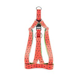 Peitoral e Guia Smooty Pet Melancia M Kit - 2
