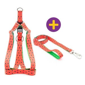 Peitoral e Guia Smooty Pet Melancia M Kit