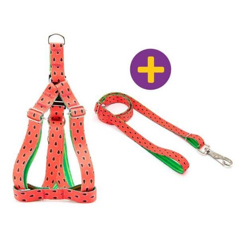 Peitoral e Guia Smooty Pet Melancia P kit