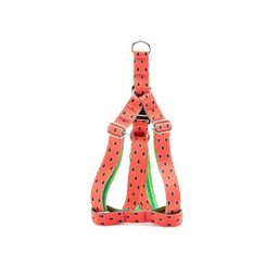 Peitoral e Guia Smooty Pet Melancia P kit - 2