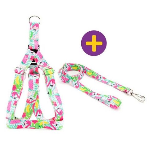 Peitoral e Guia Smooty Pet Flamingo M kit