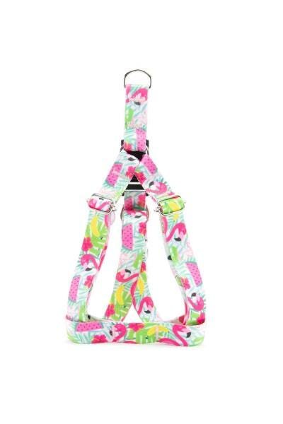 Peitoral e Guia Smooty Pet Flamingo P kit - 2