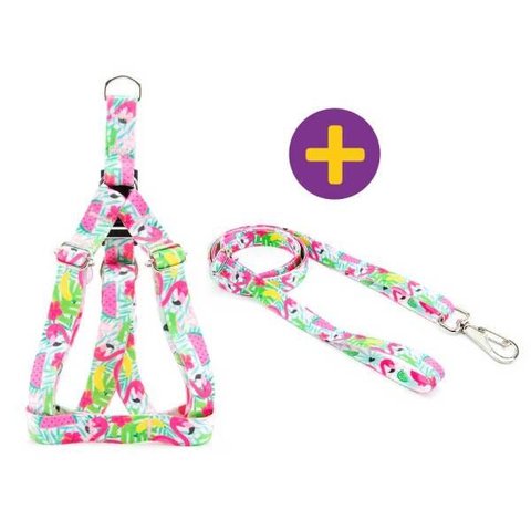 Peitoral e Guia Smooty Pet Flamingo P kit