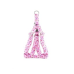 Peitoral e Guia Smooty Pet Borboleta M Kit - 2
