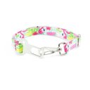 Ver imagem 5 de Coleira Peitoral Guia e Cinto de Segurança Smooty Pet Flamingo M Kit