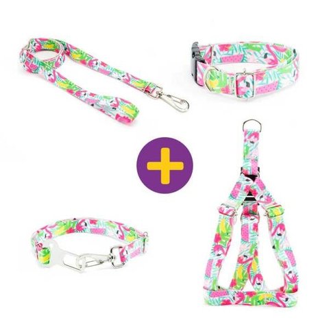 Coleira Peitoral Guia e Cinto de Segurança Smooty Pet Flamingo M Kit