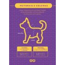 Ver imagem 6 de Coleira Peitoral Guia e Cinto de Segurança Smooty Pet Marinheiro M kit