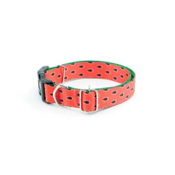 Coleira Peitoral Guia e Cinto de Segurança Smooty Pet Melancia M Kit - 2