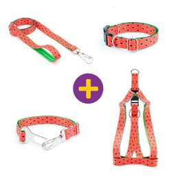 Coleira Peitoral Guia e Cinto de Segurança Smooty Pet Melancia M Kit - 1