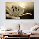 Ver imagem 2 de Quadro Decorativo Floral Foto, Tela em Canvas ideal para  Sala , Quarto e Hall de entrada(100x70 cm)