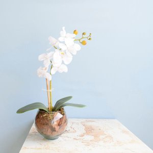 Arranjo de Flor Artificial Orquídea Branca no Vaso de Vidro Pequeno
