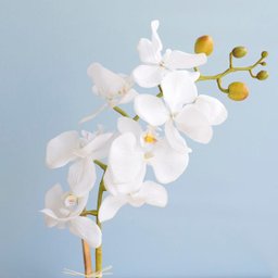Arranjo de Flor Artificial Orquídea Branca no Vaso de Vidro Pequeno - 2