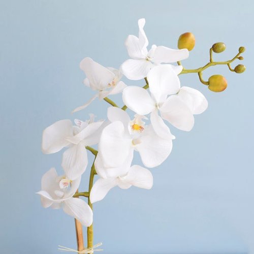 Arranjo de Flor Artificial Orquídea Branca no Vaso de Vidro Pequeno |  MadeiraMadeira