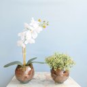 Ver imagem 4 de Arranjo de Flor Artificial Orquídea Branca no Vaso de Vidro Pequeno